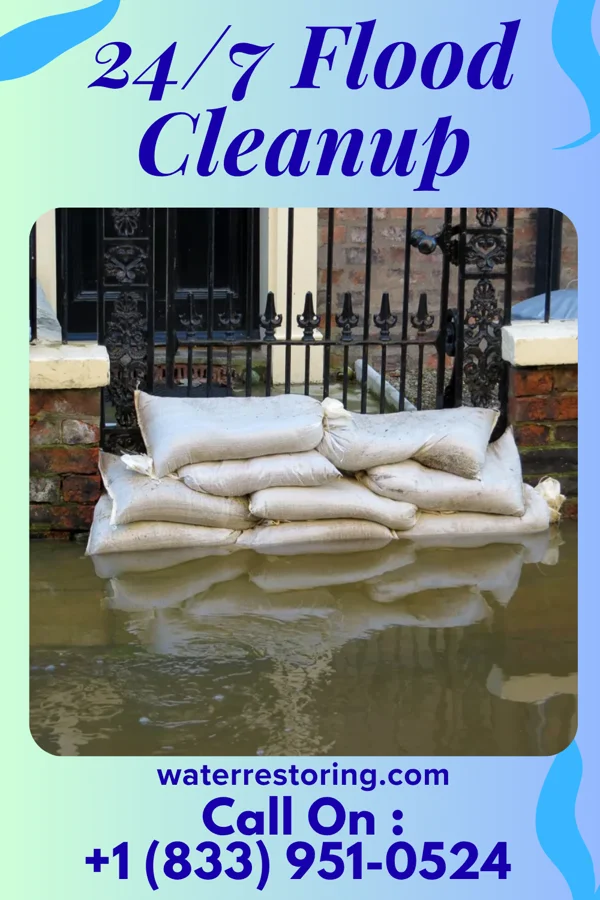 24/7 Flood Cleanup in Seaford, DE