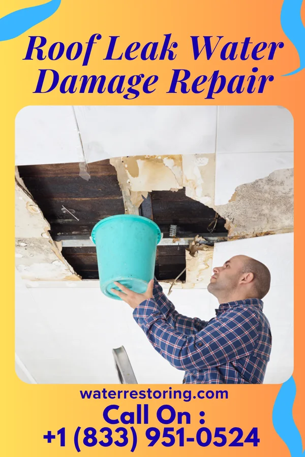 Roof Leak Water Damage Repair in Seaford, DE