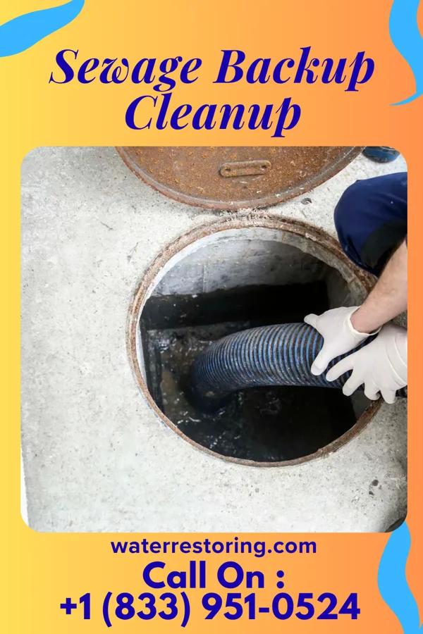 Sewage Backup Cleanup in Seaford, DE