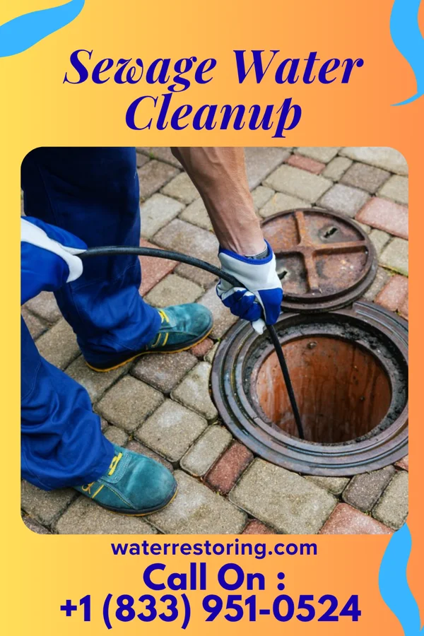 Sewage Water Cleanup in Seaford, DE